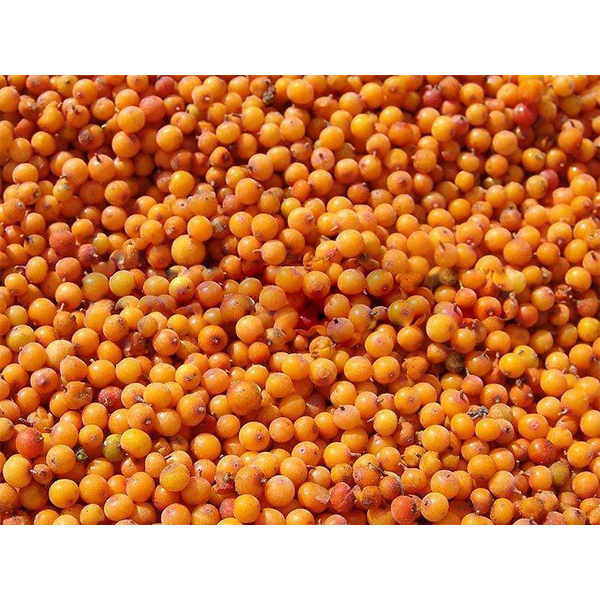 Frozen Sea Buckthorn Berries (Oblepikha), 300g image