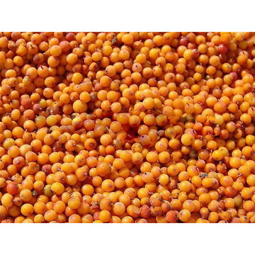 Frozen Sea Buckthorn Berries (Oblepikha), 300g image