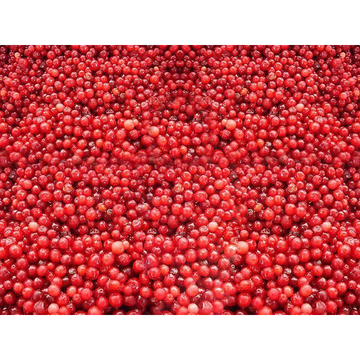 Amberye Frozen Lingonberries (Brusnika), 300g image