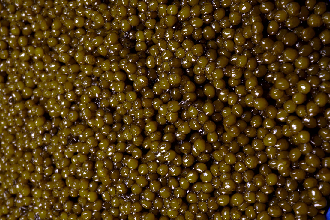 Seven Seas Kaluga Black Caviar, 454g image