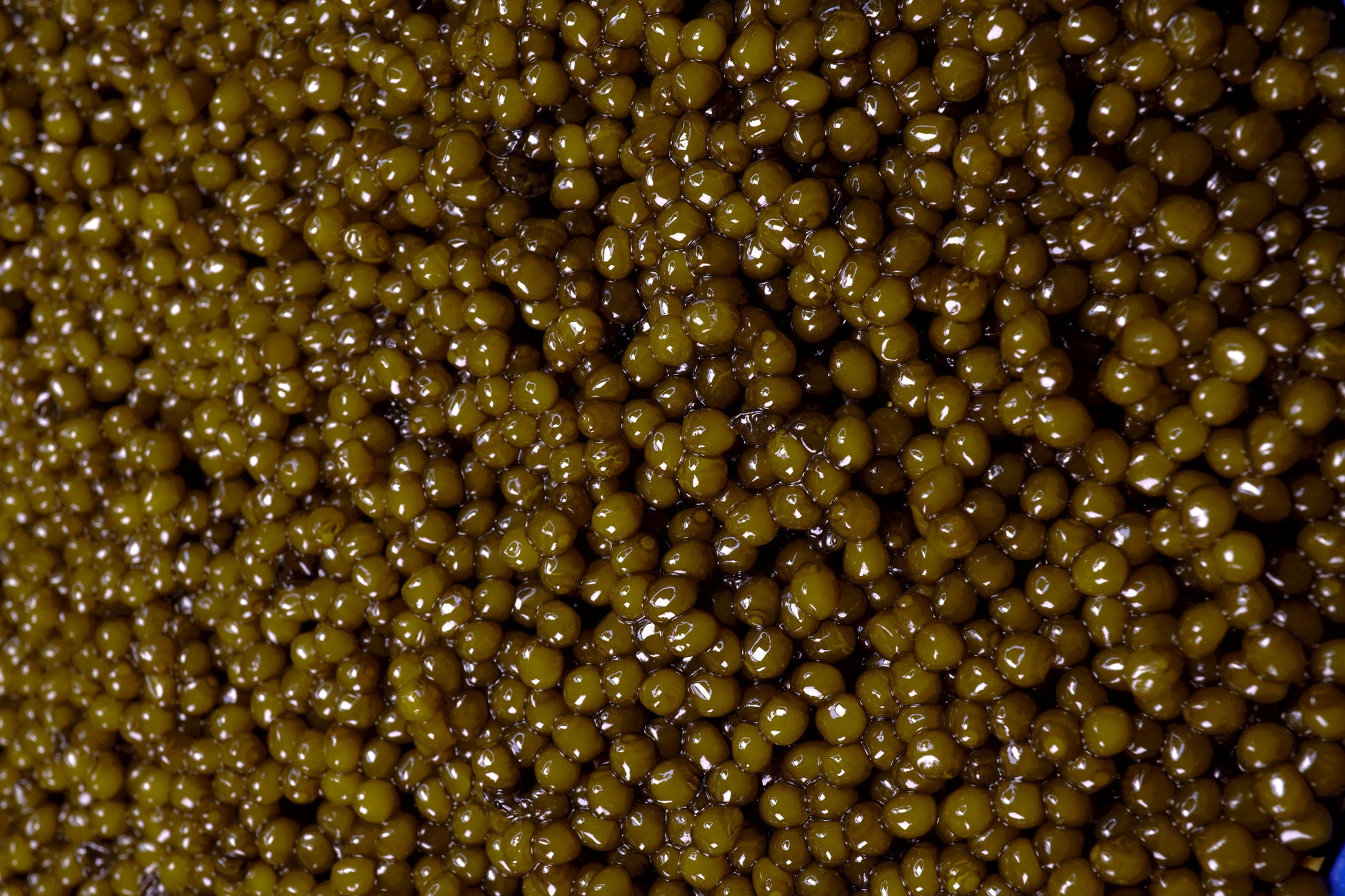 Seven Seas Kaluga Black Caviar, 454g image