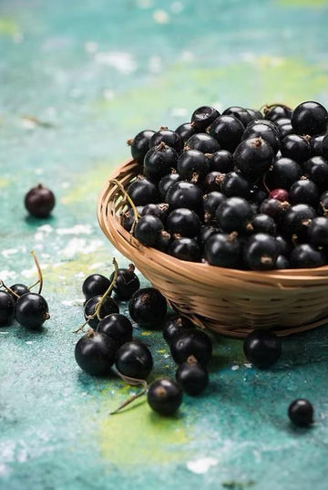 Washington Black Currants, 500g image