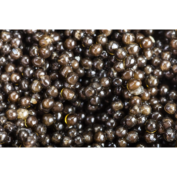 Seven Seas Malossol Kaluga Black Caviar Tin, 113g image