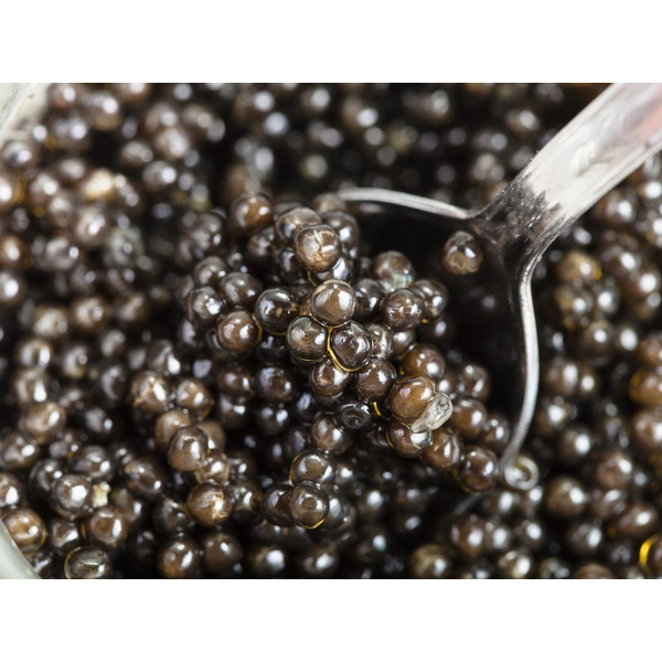 Seven Seas Premium Kaluga Sturgeon Black Caviar Glass Jar, 50g image
