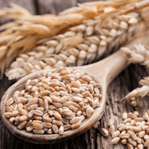 Zhmenka Perlovka Barley, 900g image