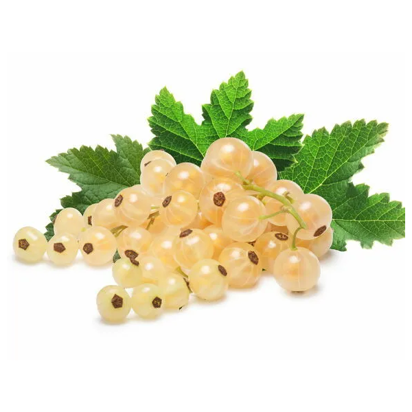 Fresh White Currants, ~2.5 lb Box image