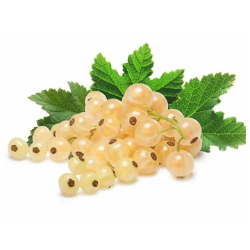 Fresh White Currants, ~2.5 lb Box image